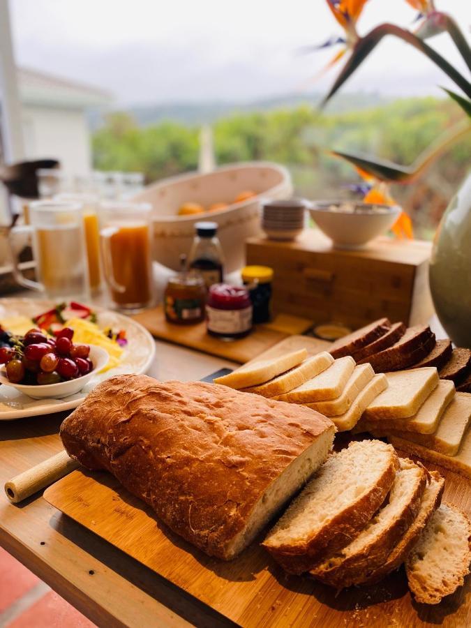 Mes Amis Beach Guest House Уилдърнес Екстериор снимка